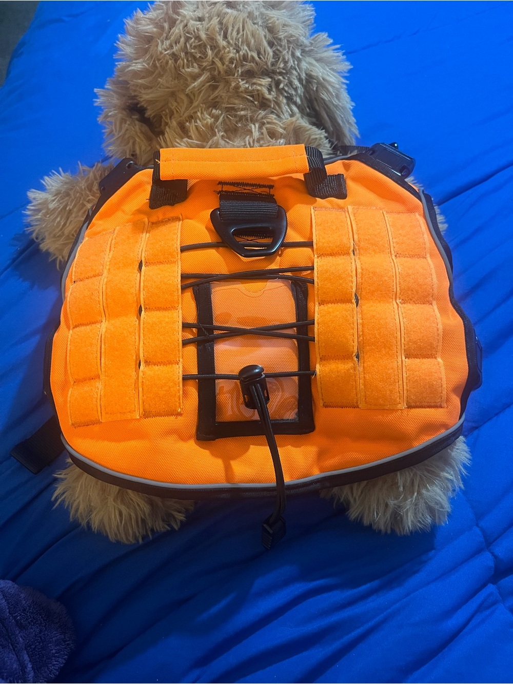 High-Visibility Orange Tactical Dog Pack with MOLLE Panels